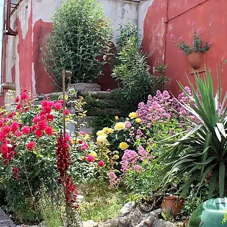 Le Ali Del Vento 住宿加早餐酒店 Cairano