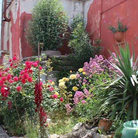 Le Ali Del Vento